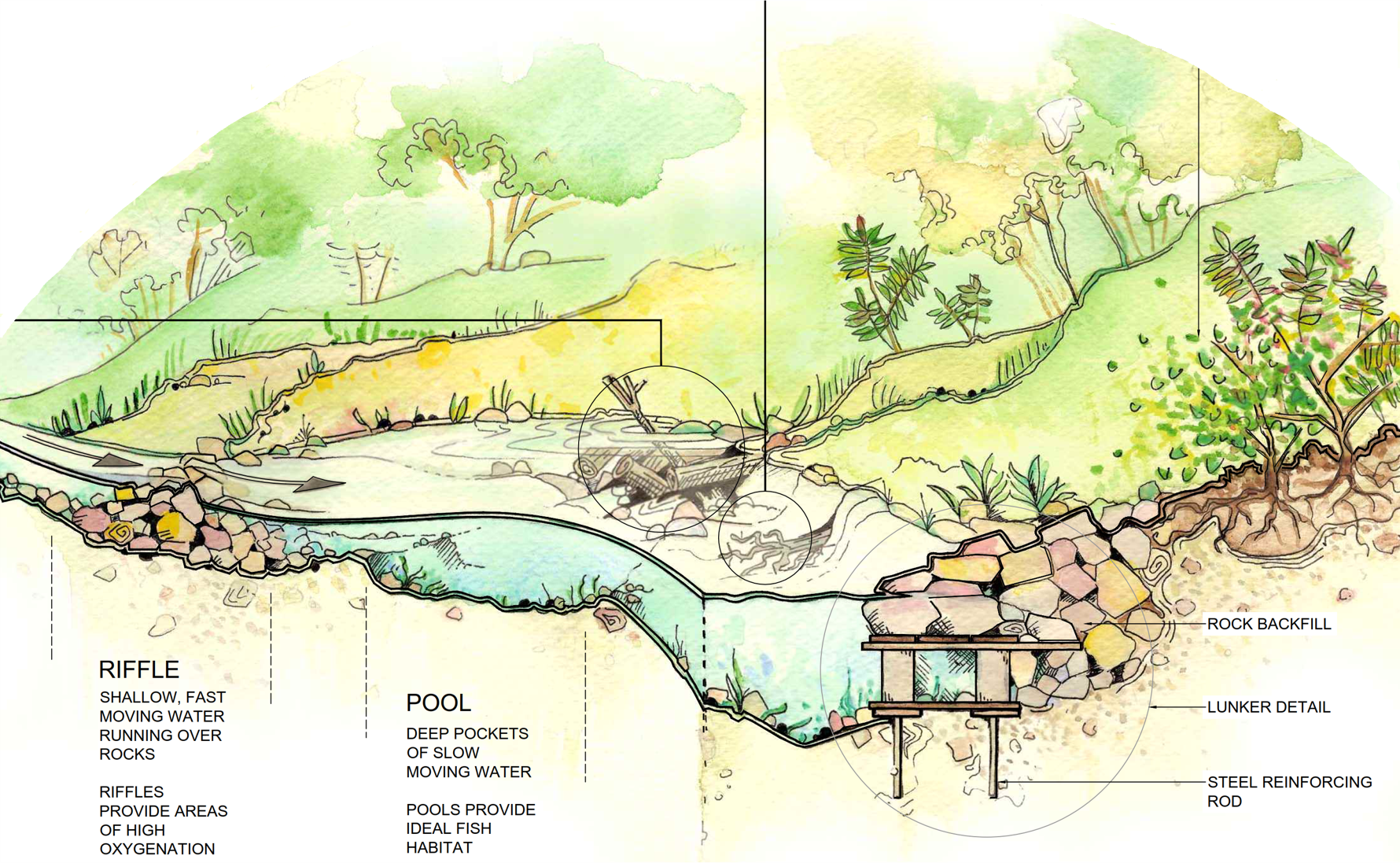 An artistic rendering of the conceptual cross-section of the improved creek. The improvements to the creek include steel re-enforcements, bank erosion and restoration plantings and rock backfill. 