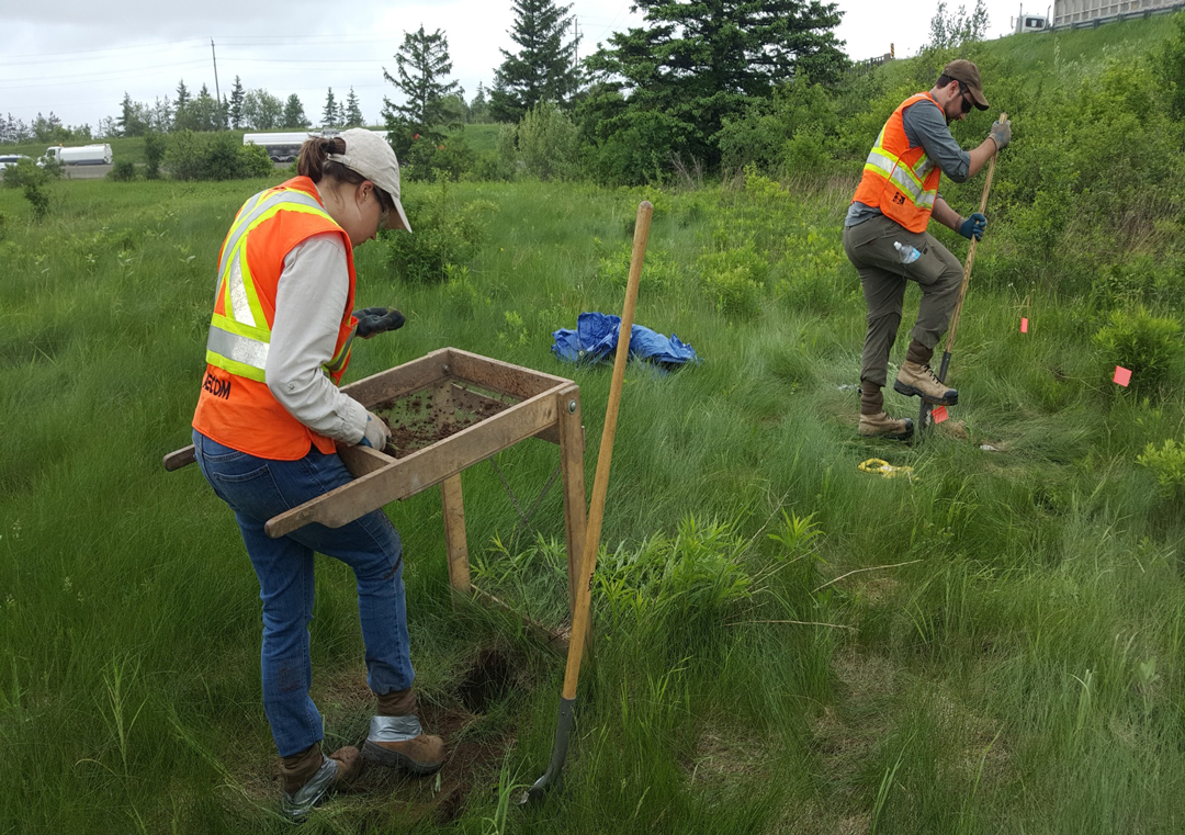 Field workers conducting archaeological assessment using hand tools in a grassy area.