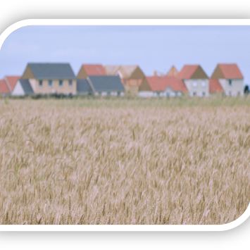An image of a row of residential houses next to a field