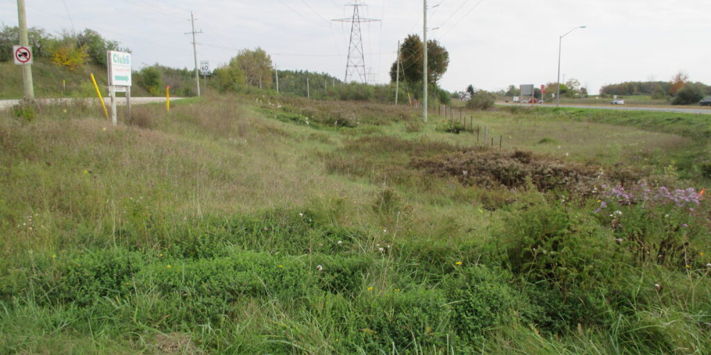 Photograph of the existing landscape at Maltby Road and Concession Road 7